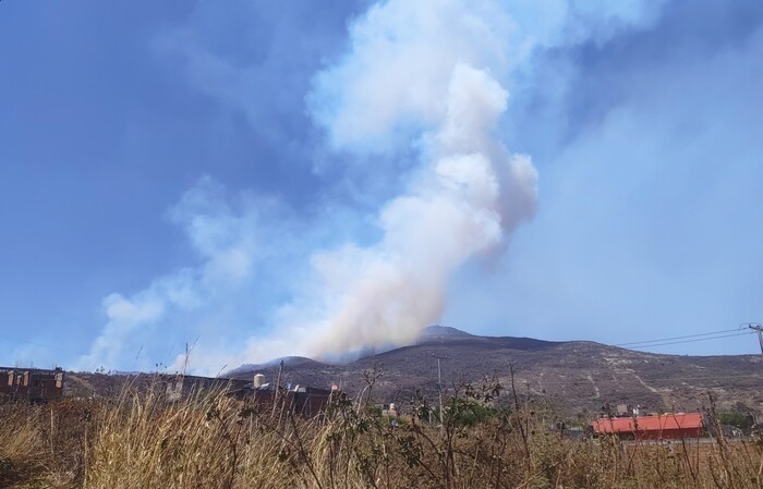 695 incendios forestales han afectado 36 mil hectáreas en Michoacán: Cofom