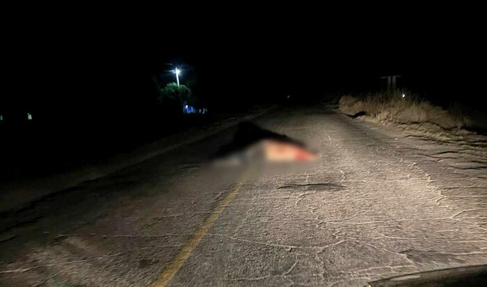 Abandonan cadáver con huellas de violencia en la carretera Apatzingán – Buenavista