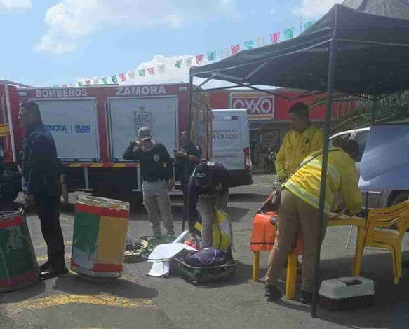 Abejas atacan a 17 personas y se refugia en una cueva de Zamora