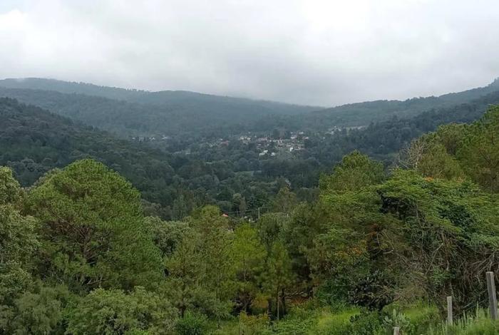 Abre CSIM posibilidad a que consulta en San Miguel del Monte sea en urnas