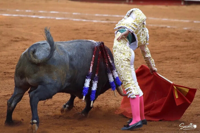 ¿Adiós a las corridas de toros en CDMX? Conoce la iniciativa de Clara Brugada