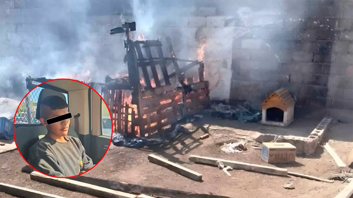 Adolescente es sentenciado por provocar incendio que mató a cuatro cachorros en Saltillo