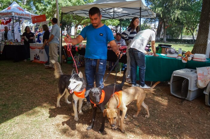 Adopta un lomito o unmichi en el Fin de Semana Animalista