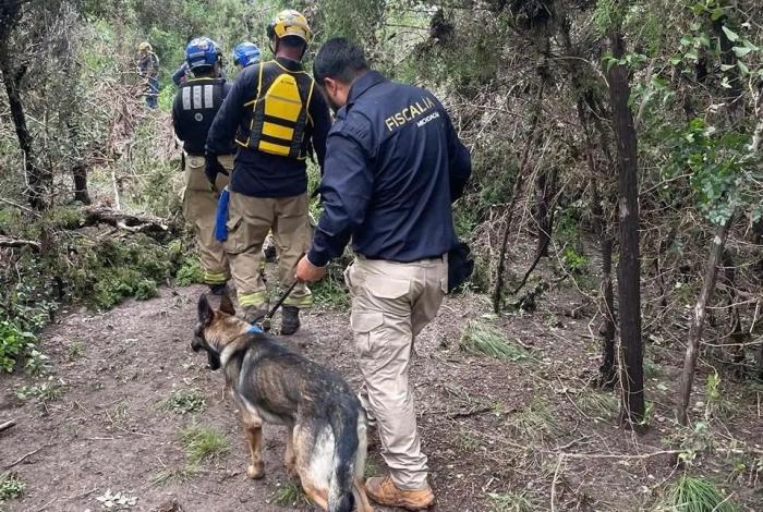 Agentes de la Unidad Canina de la FGE Michoacán participan en labores de búsqueda de personas desaparecidas en Texas