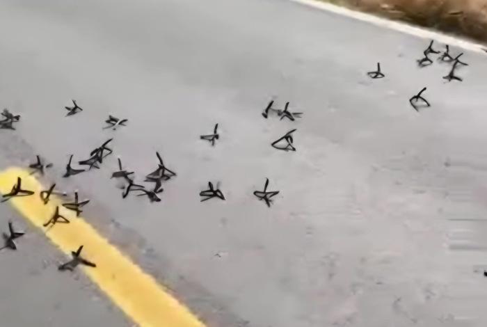 Agredieron a balazos a Policías Municipales de Tingüindín