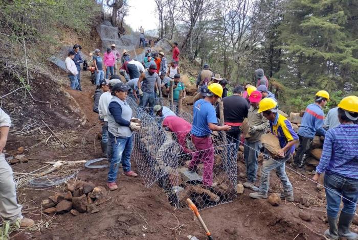Agrosano refuerza conservación del lago de Pátzcuaro y sus manantiales: Sader
