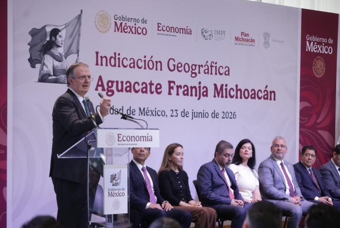 Aguacate michoacano obtiene Indicación Geográfica por IMPI