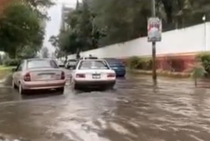 Aguacero en Uruapan deja caída de árboles y calles convertidas en ríos