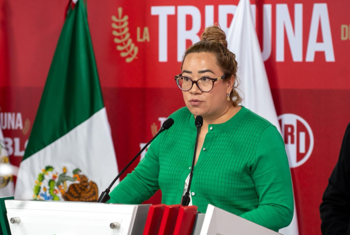 Alcaldesa de Erongarícuaro pide al Ejército que no se vaya