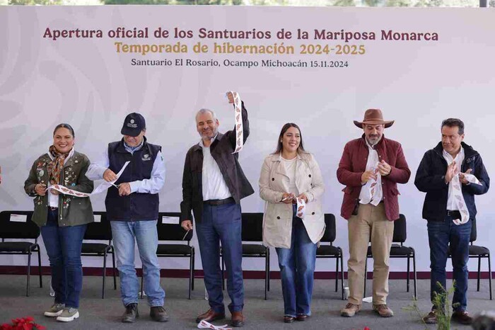 Ante millones de Mariposas Monarca, Michoacán vive un espectáculo único en el mundo: Bedolla