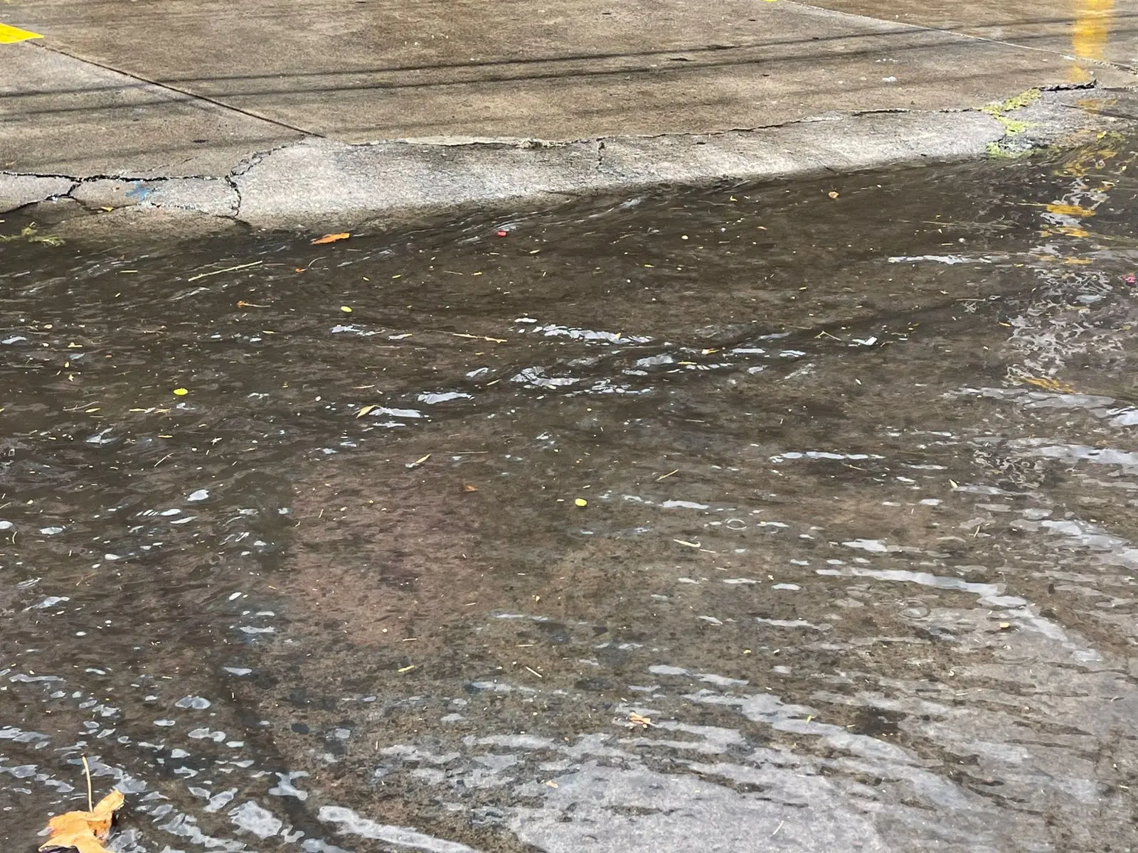 Ante temporada de lluvias morelianos ya se preparan para evitar inundaciones