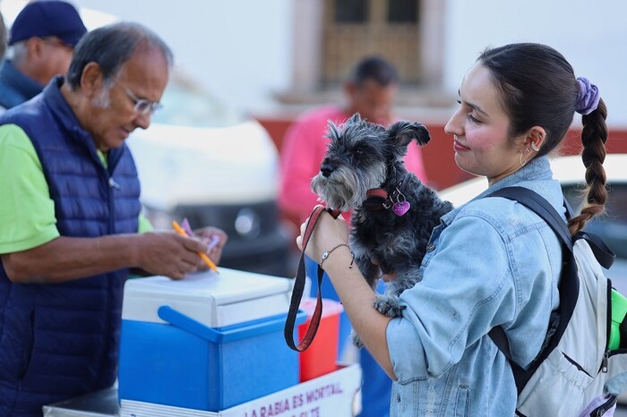 Anuncia SSM vacunación antirrábica para perros y gatos, en Morelia