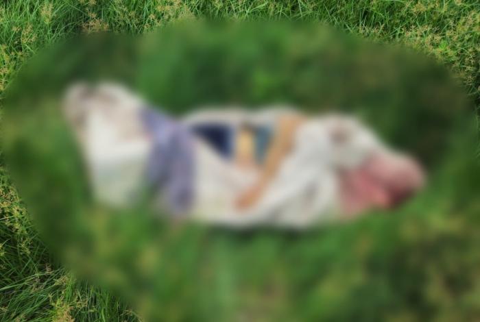 Apatzingán: muere un hombre a causa de un explosivo