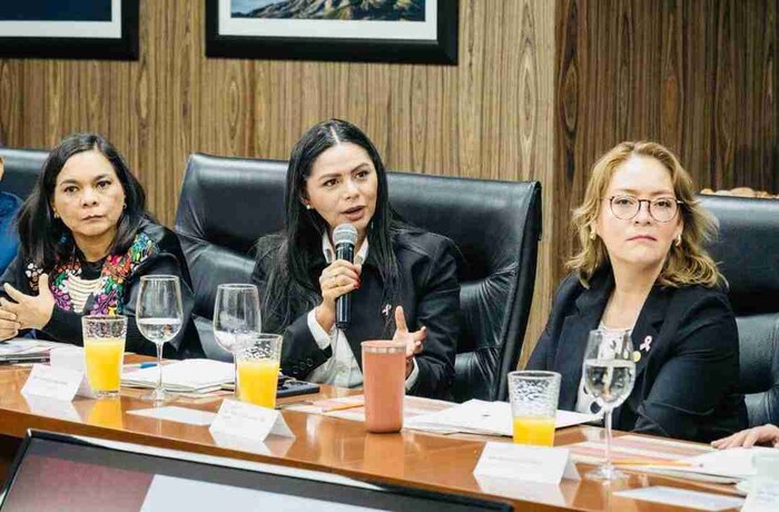 Araceli Saucedo gestiona ante federación apoyo para el sector agropecuario de Michoacán