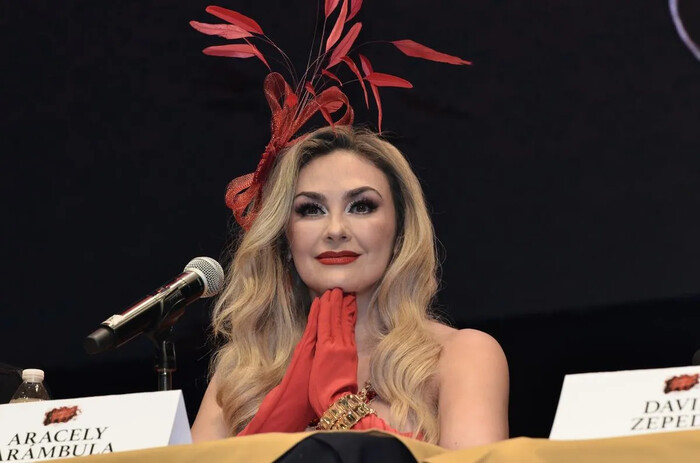 ¡Aracely Arámbula celebra ser suegra!