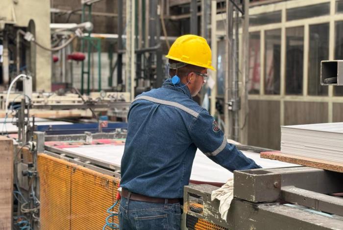 Arauco elevará producción nacional de MDF desde Michoacán: Sedeco