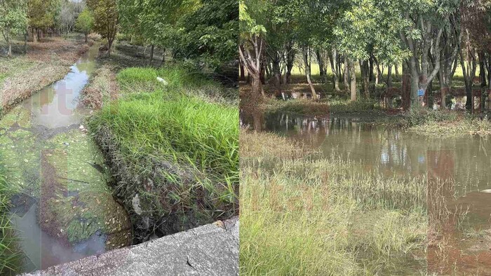 “Arboretum” parque ecológico que se convierte en un foco de infección en Morelia