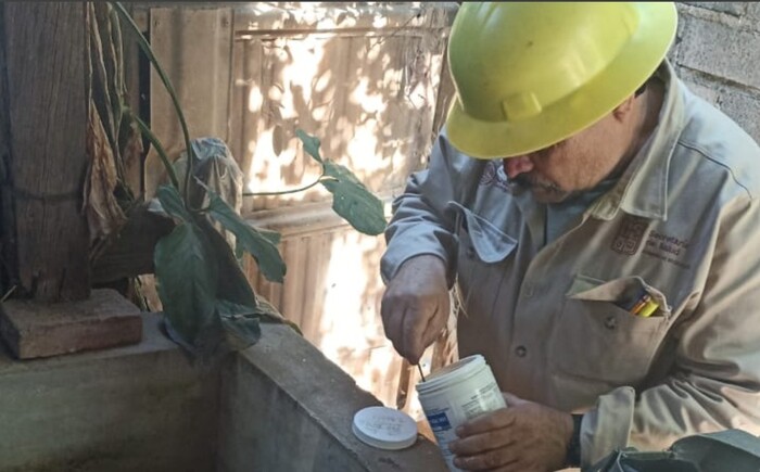 Arrancó jornada intensiva de saneamiento contra el dengue en Tacámbaro: SSM