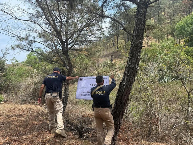 Asegura FGE predio relacionado en delitos contra el ambiente en Morelia