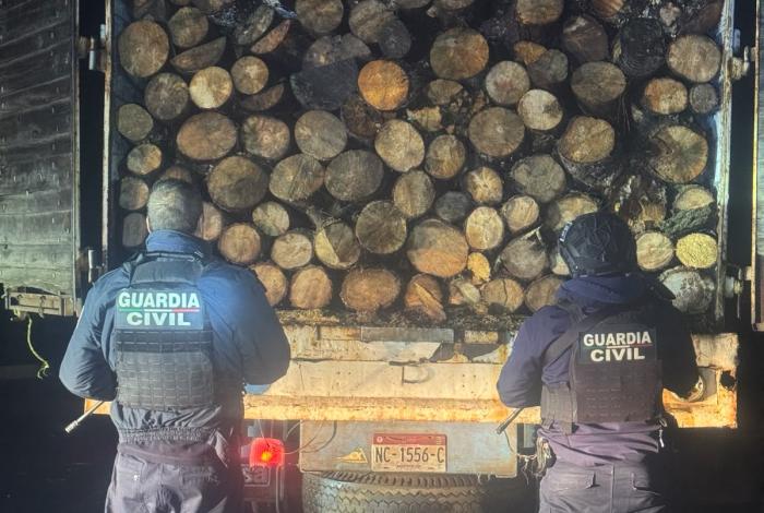 Asegura GC camión con aproximadamente 10 metros cúbicos de madera en rollo en Madero