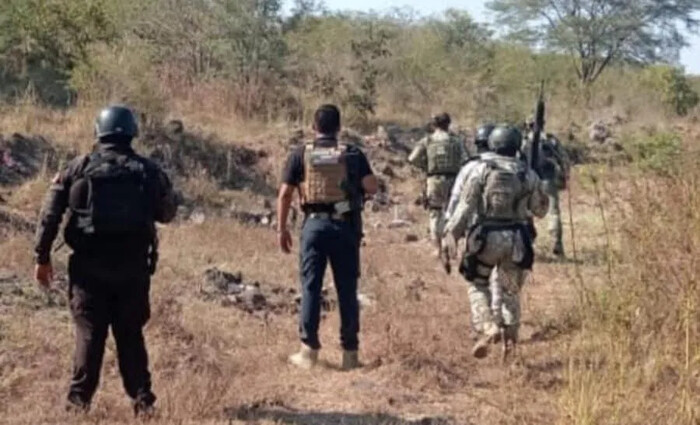 Aseguran 15 artefactos explosivos en Apatzingán