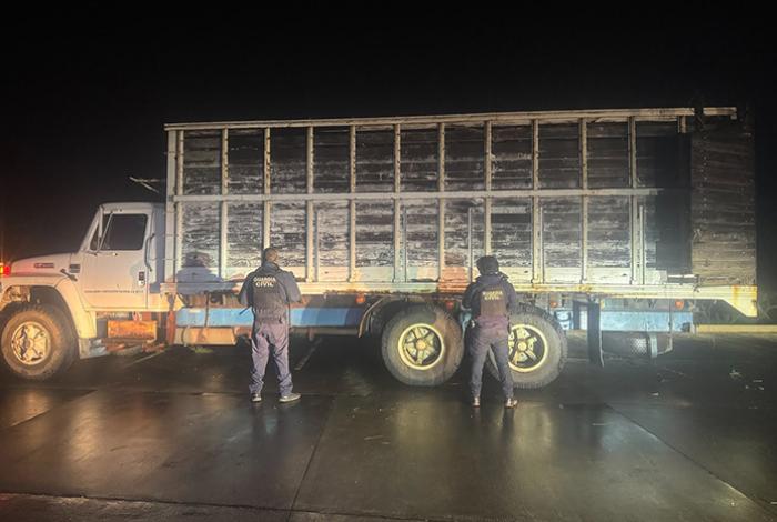 Aseguran camión con 10 metros cúbicos de madera en rollo en Madero