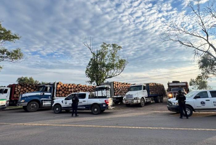 Aseguran cinco camiones con 400 rollos de madera