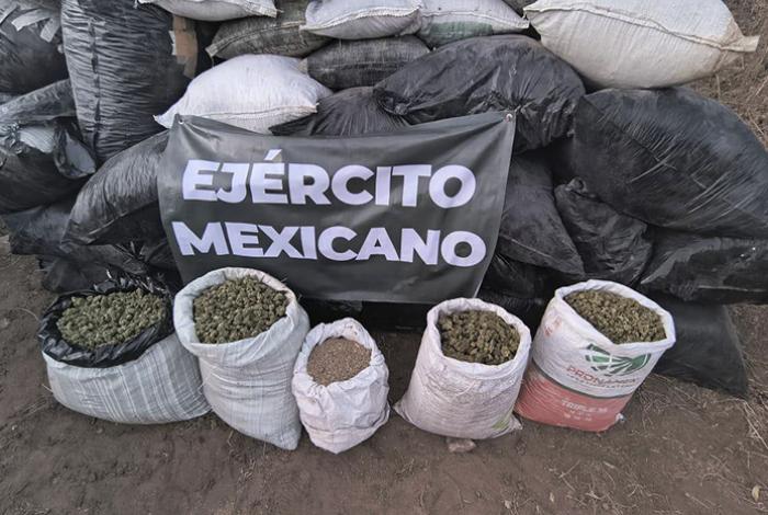 Aseguran más de una tonelada de presunta marihuana en operativo federal en Turicato