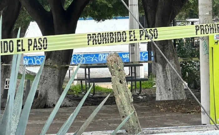 Asesinan a tiros a joven alumna de Bachilleres: el asesino es un compañero