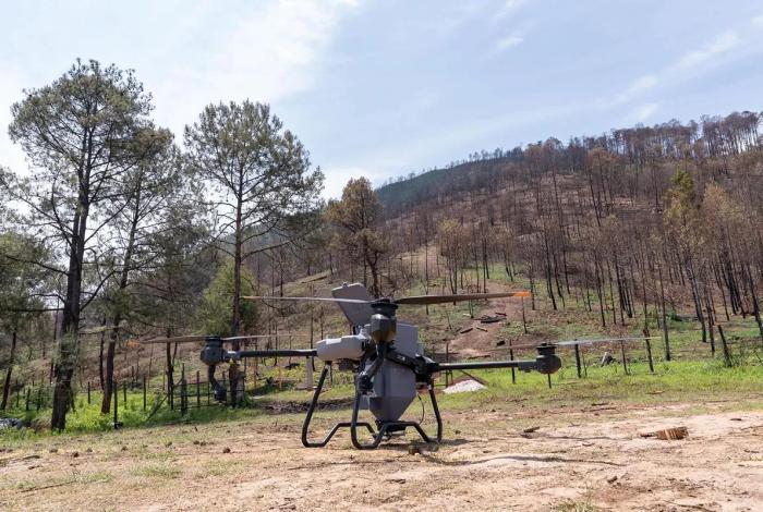 Noticias de Michoacán