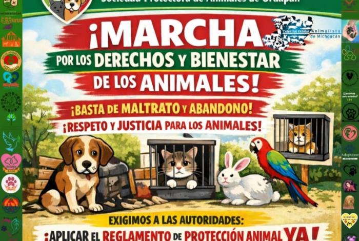   Asociaciones animalistas anuncian marchas pacíficas en distintos municipios de Michoacán
