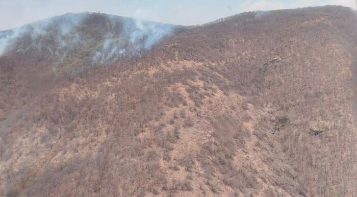 Atienden por aire y tierra incendio forestal en Cerro Verde, en Morelia