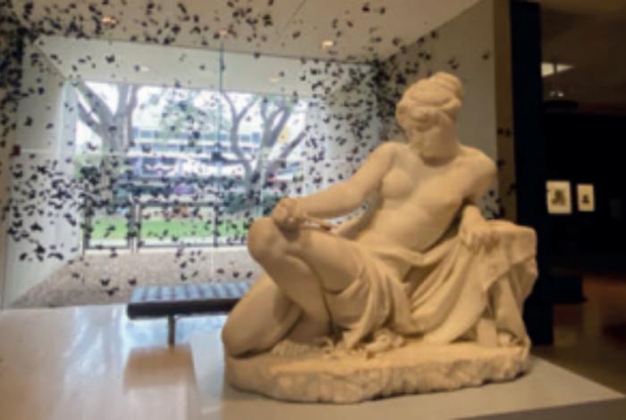 Australia en la antípoda cultural: Una bitácora de viaje