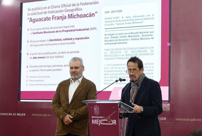 Avanza proceso de Indicación Geográfica para proteger al aguacate michoacano: Bedolla