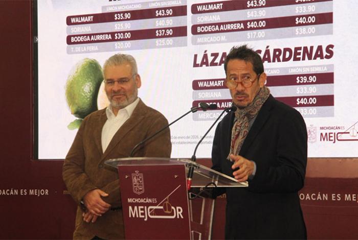 Avanza proceso de Indicación Geográfica para proteger al aguacate michoacano: Bedolla