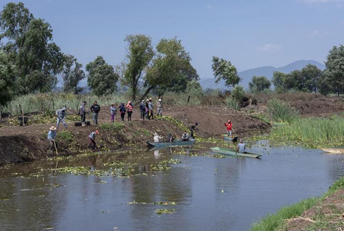 Avanza recuperación del canal de Erongarícuaro con trabajo de manos michoacanas