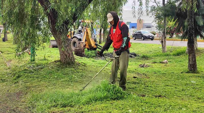 Ayuntamiento de Morelia y vecinos limpian camellones y avenidas