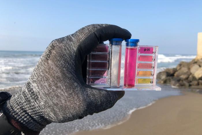 Bedolla solicitará a COFEPRIS repetir análisis a playas michoacanas