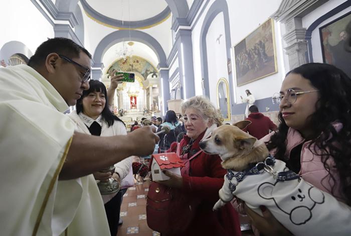 Bendicen a mascotas en Puebla por el Día de San Antonio Abad, patrono de los animales