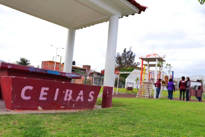 Bienestar Michoacán ha apoyado a 246 mil personas con programa Ceibas