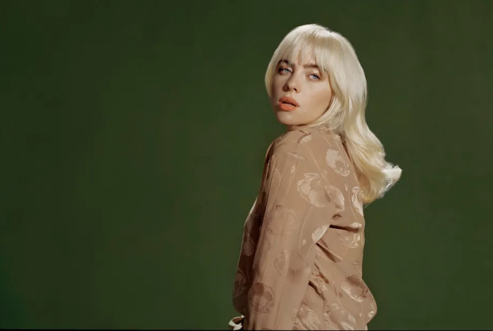 Billie Eilish enfrenta incidente con fan en concierto de Miami