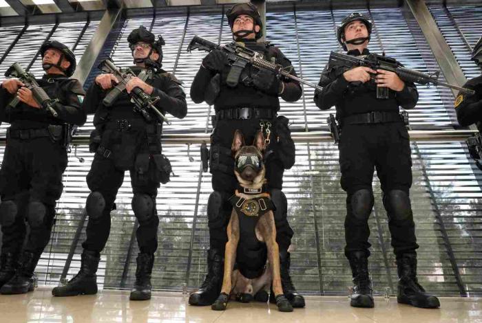 Binomios caninos de la Guardia Civil, aliados en el combate a la delincuencia: SSP