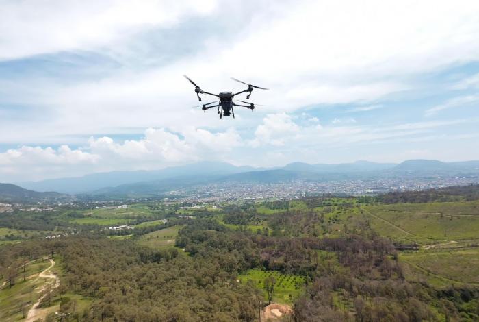 Bosques se fortalecieron con 360 mil semillas dispersadas vía dron en reforestación 2025: Cofom