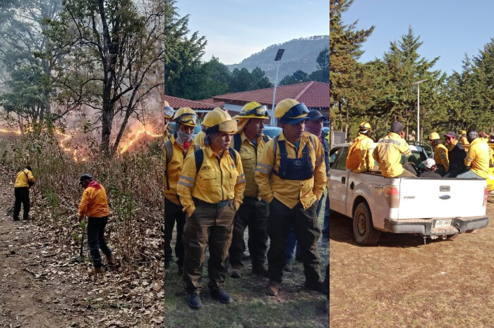 Brigadas atienden 3 incendios en Cotija, Maravatío y Tuxpan: Cofom
