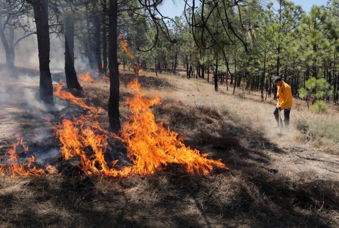 Brigadas forestales apagan otros cuatro incendios en Michoacán