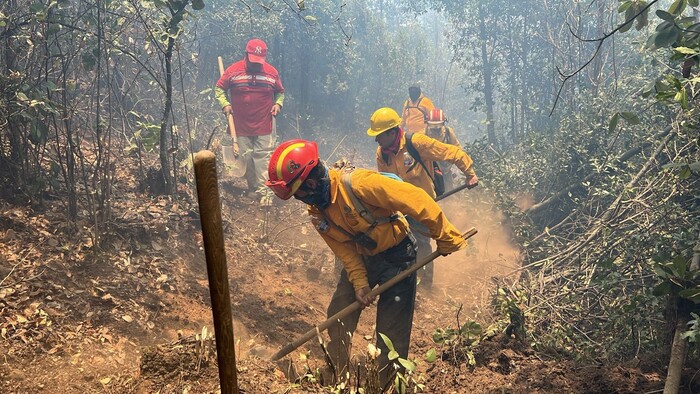 Brigadas forestales atienden 7 incendios y liquidan 2 más en Michoacán