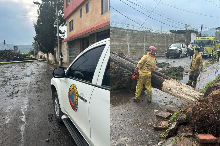 Brigadas intermunicipales atienden incidencias por lluvias de este miércoles en Morelia