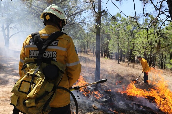Brigadistas combaten incendios forestales activos en Michoacán: Cofom