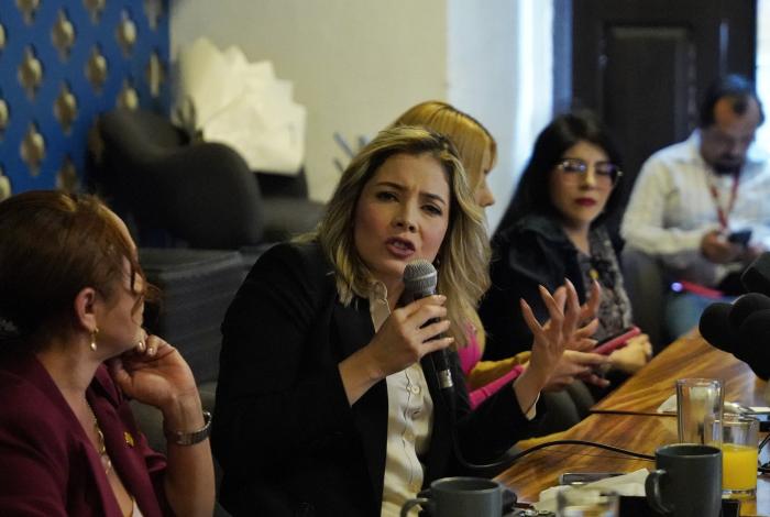 Brissa Arroyo deja bancada del PRDM