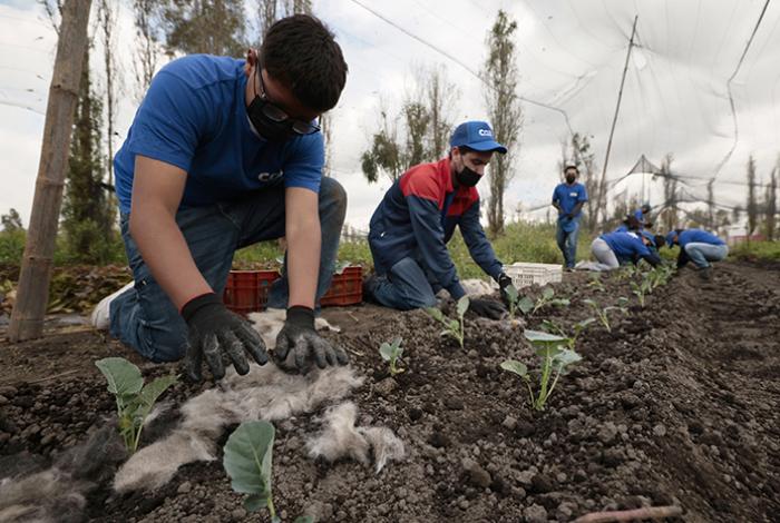 Cabello reciclado, nueva herramienta para sanear agua de canales de Xochimilco, en la Ciudad de México